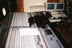 studio11